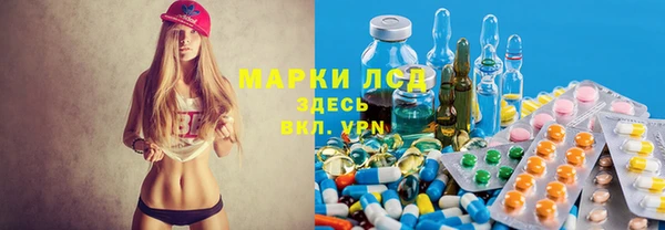 индика Новокубанск