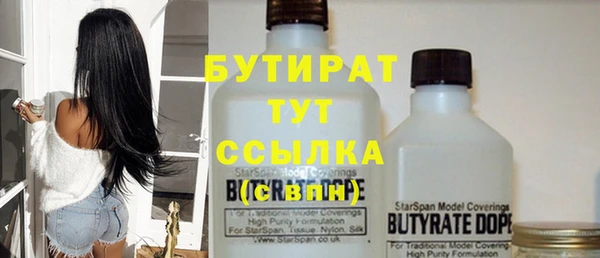 индика Новокубанск