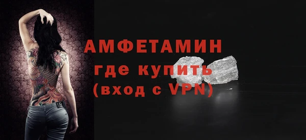 индика Новокубанск