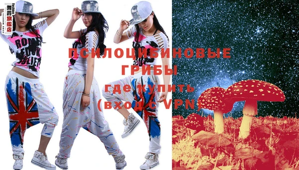 индика Новокубанск