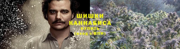 кокаин колумбия Новозыбков