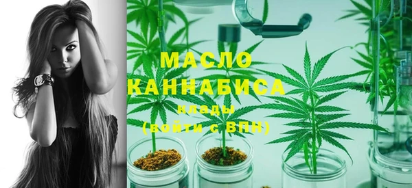 индика Новокубанск
