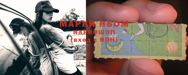 индика Новокубанск