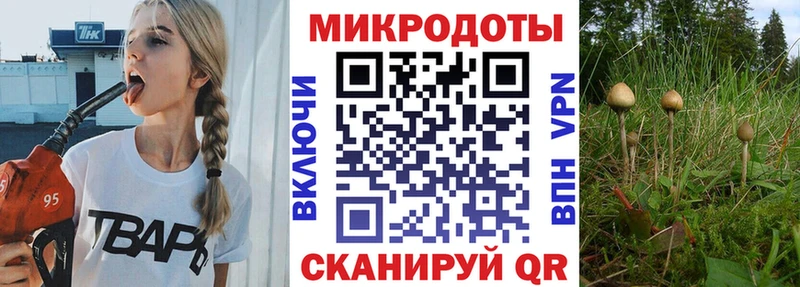 Галлюциногенные грибы GOLDEN TEACHER  Светлоград 
