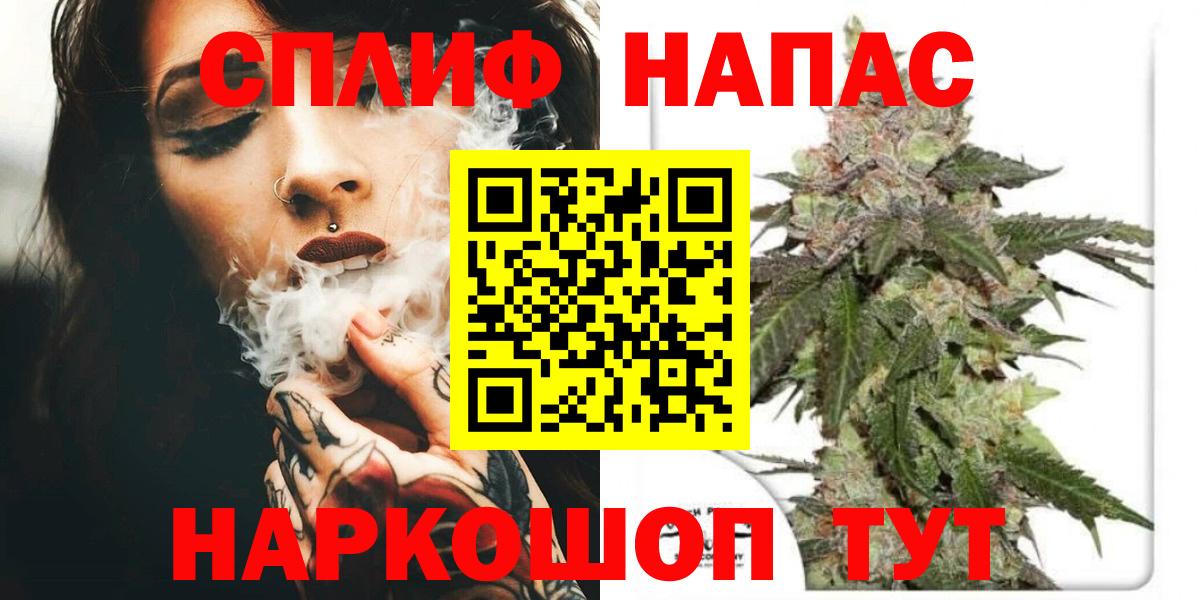 Канабис сатива Светлоград
