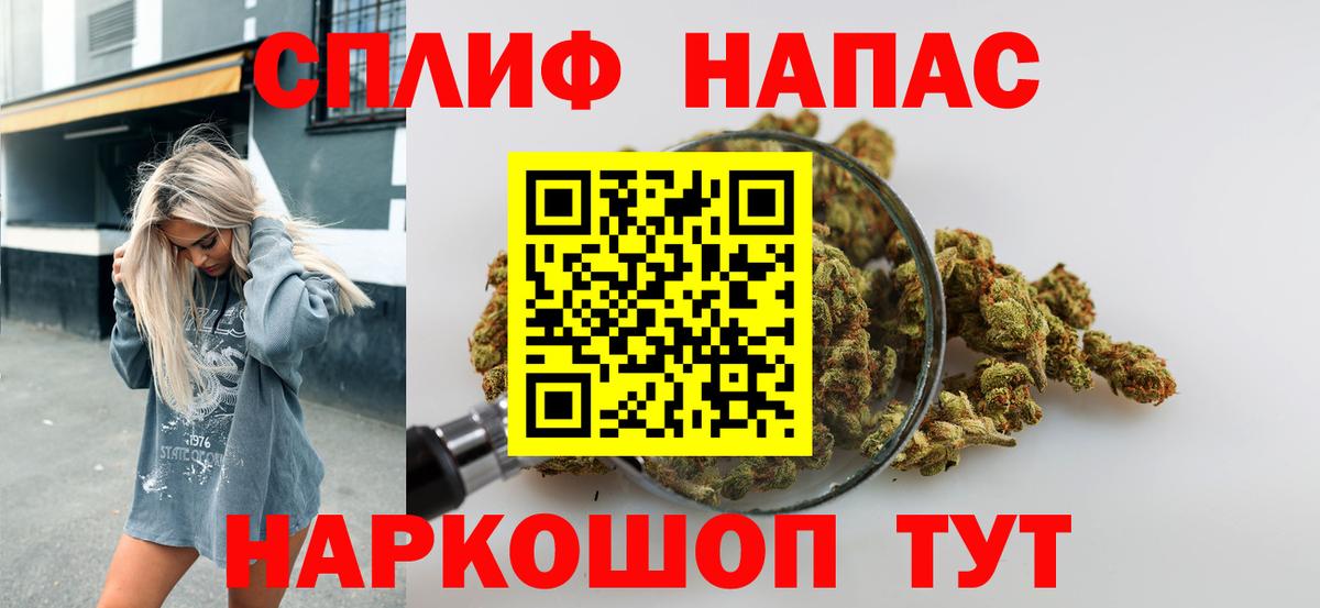 Бошки Шишки гибрид  Конопля план  Вход с VPN  Конопля SATIVA & INDICA  Бошки Шишки SATIVA & INDICA  Светлоград 